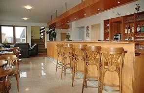 Hotel Chotol Horomerice ภายนอก รูปภาพ